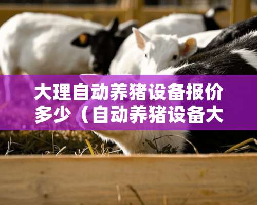 大理自动养猪设备报价多少（自动养猪设备大全）