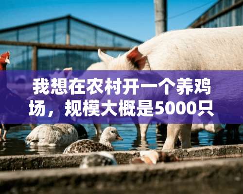 我想在农村开一个养鸡场，规模大概是5000只土鸡，需要办些什么手续及设备？还有国家会补贴？