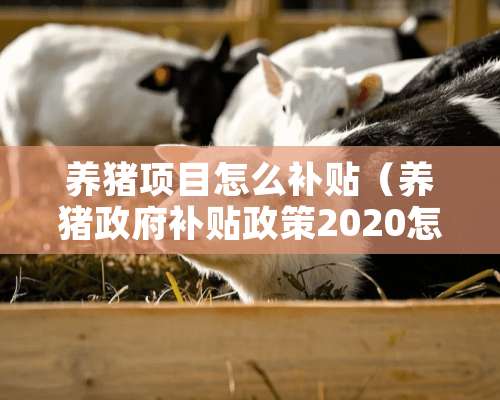 养猪项目怎么补贴（养猪政府补贴政策2020怎么申请）