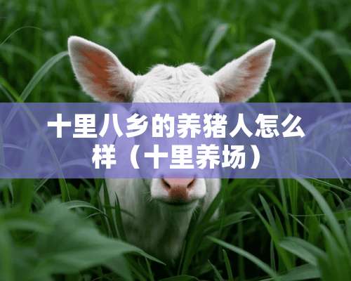 十里八乡的养猪人怎么样（十里养场）