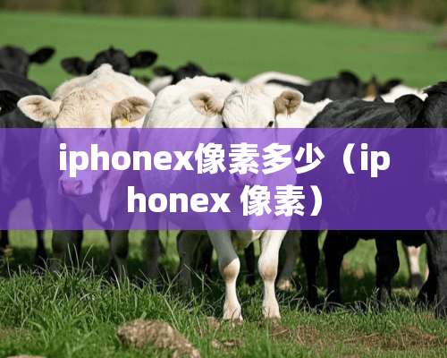 iphonex像素多少（iphonex 像素）