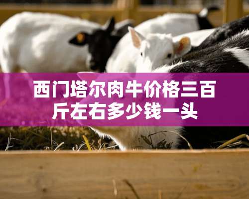 西门塔尔肉牛价格三百斤左右多少钱一头