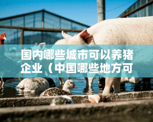 国内哪些城市可以养猪企业（中国哪些地方可以养猪）