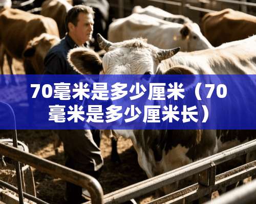 70毫米是多少厘米（70毫米是多少厘米长）