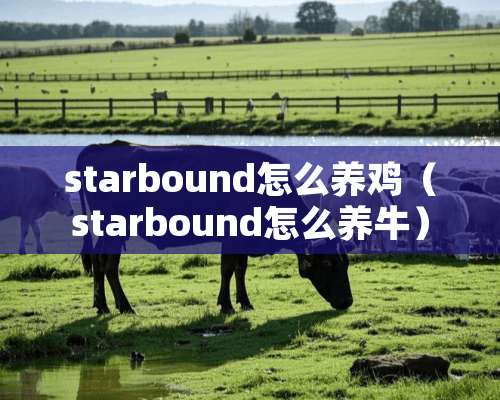 starbound怎么养鸡（starbound怎么养牛）