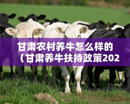 甘肃农村养牛怎么样的（甘肃养牛扶持政策2020年贷款）