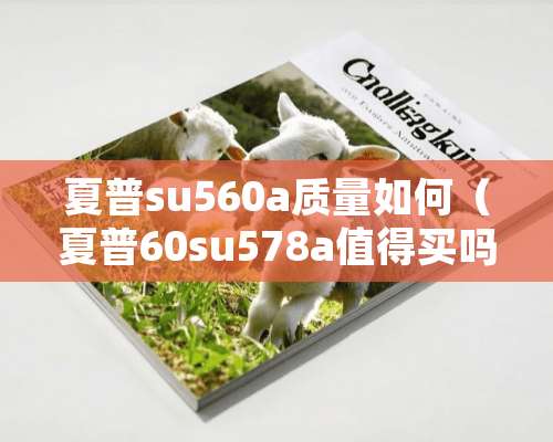 夏普su560a质量如何（夏普60su578a值得买吗）