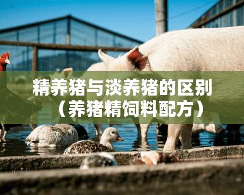 精养猪与淡养猪的区别（养猪精饲料配方）