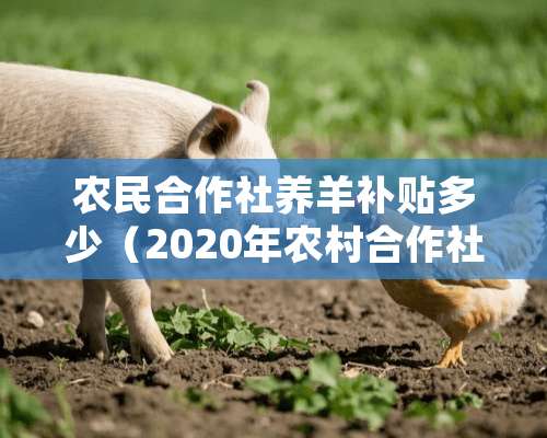 农民合作社养羊补贴多少（2020年农村合作社关于养羊补贴政策）