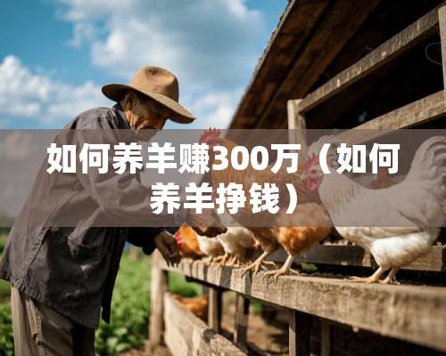 如何养羊赚300万（如何养羊挣钱）