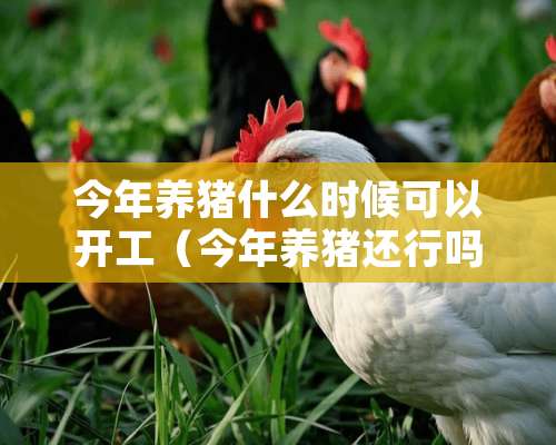 今年养猪什么时候可以开工（今年养猪还行吗）