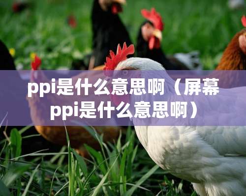 ppi是什么意思啊（屏幕ppi是什么意思啊）