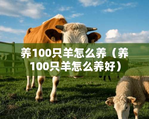 养100只羊怎么养（养100只羊怎么养好）