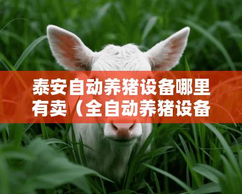 **自动养猪设备哪里有卖（全自动养猪设备公司）