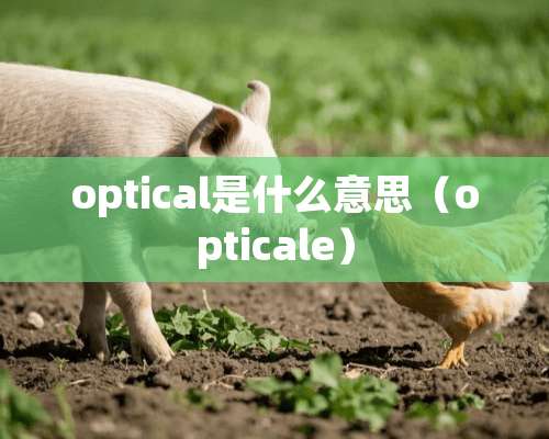 optical是什么意思（opticale）