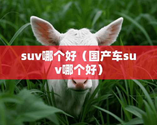 suv哪个好（国产车suv哪个好）