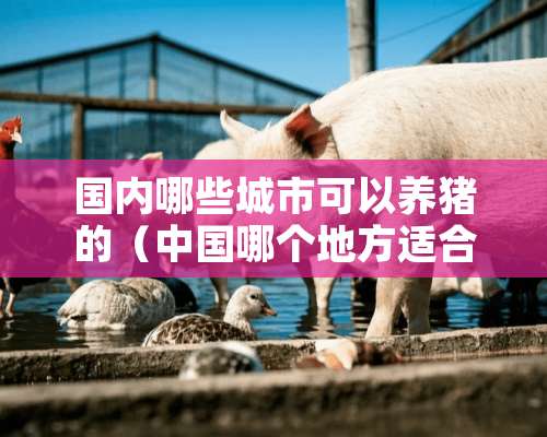 国内哪些城市可以养猪的（中国哪个地方适合养猪）