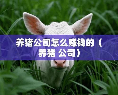 养猪公司怎么赚钱的（养猪 公司）