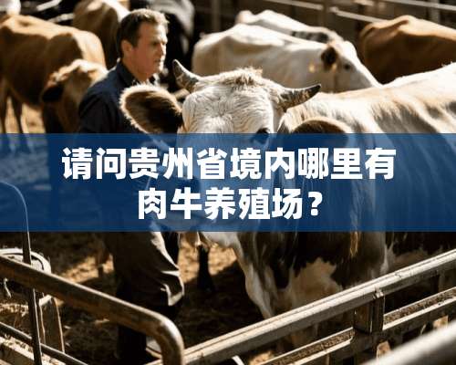 请问贵州省境内哪里有肉牛养殖场？