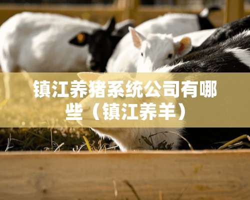 镇江养猪系统公司有哪些（镇江养羊）