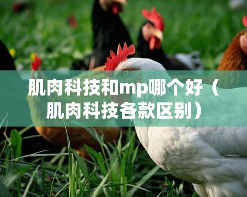 肌肉科技和mp哪个好（肌肉科技各款区别）