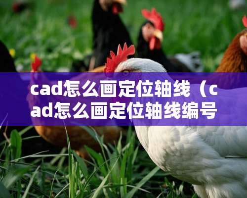 cad怎么画定位轴线（cad怎么画定位轴线编号）