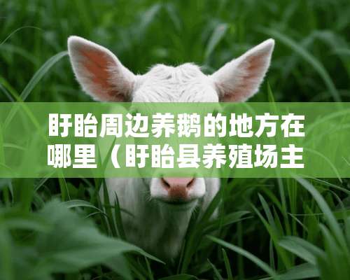 盱眙周边养鹅的地方在哪里（盱眙县养殖场主要养殖什么）