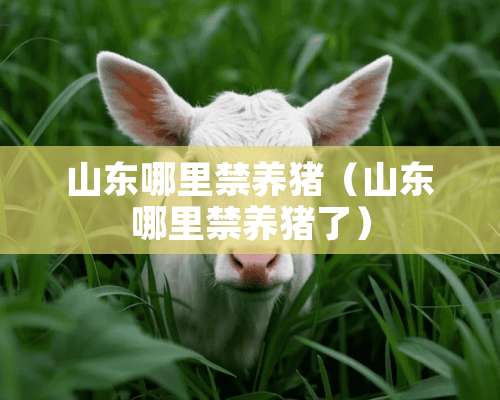 山东哪里禁养猪（山东哪里禁养猪了）