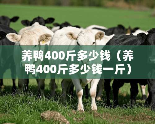 养鸭400斤多少钱（养鸭400斤多少钱一斤）