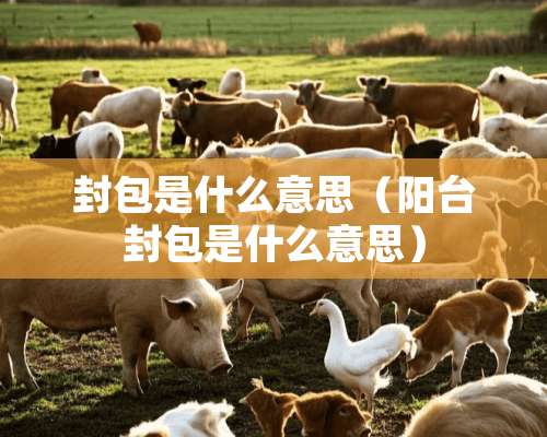 封包是什么意思（阳台封包是什么意思）