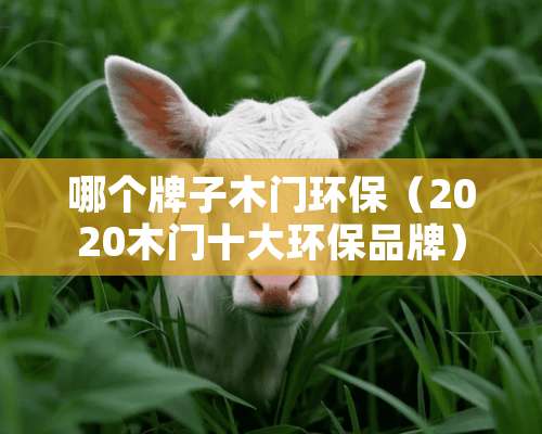 哪个牌子木门环保（2020木门十大环保品牌）