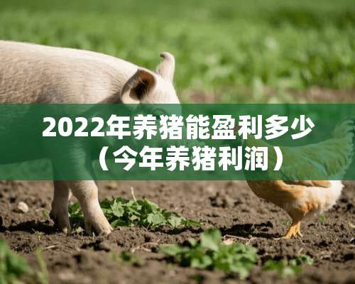 2022年养猪能盈利多少（今年养猪利润）