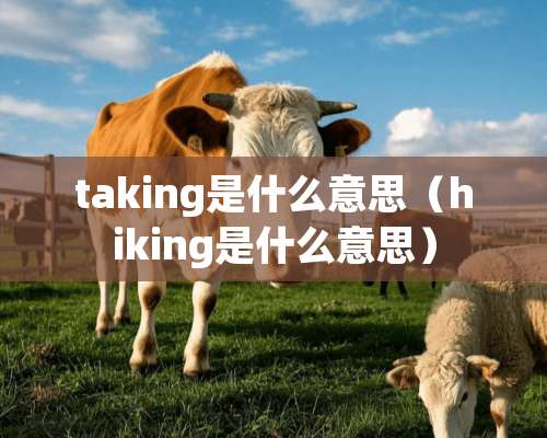 taking是什么意思（hiking是什么意思）