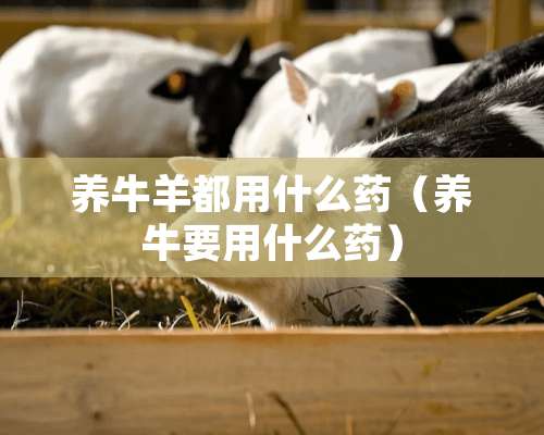 养**都用什么药（养牛要用什么药）