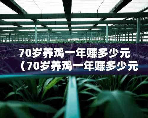 70岁养鸡一年赚多少元（70岁养鸡一年赚多少元钱）