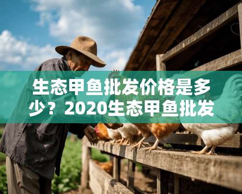 生态甲鱼批发价格是多少？2020生态甲鱼批发报价实时更新