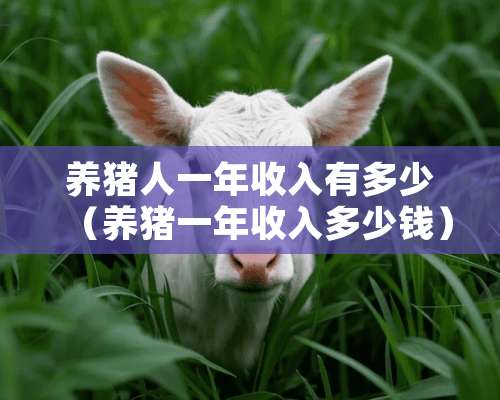 养猪人一年收入有多少（养猪一年收入多少钱）