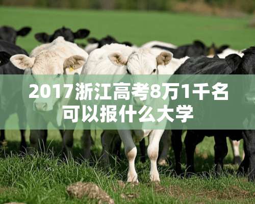 2017浙江高考8万1千名可以报什么大学