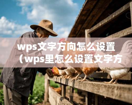 wps文字方向怎么设置（wps里怎么设置文字方向）