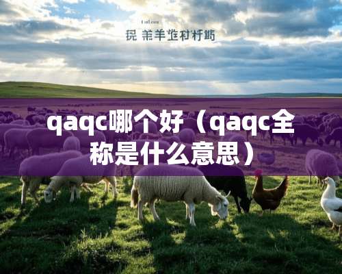 qaqc哪个好（qaqc全称是什么意思）