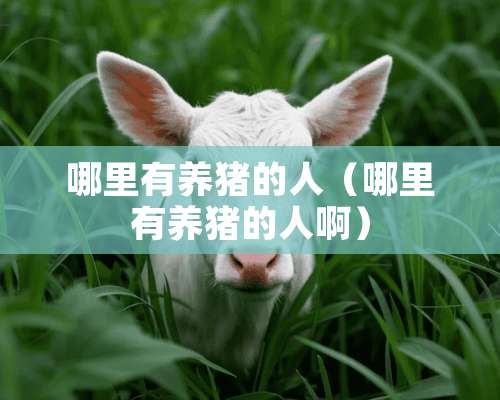 哪里有养猪的人（哪里有养猪的人啊）