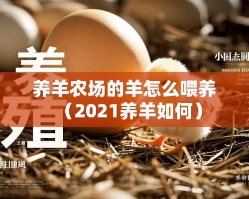 养羊农场的羊怎么喂养（2021养羊如何）