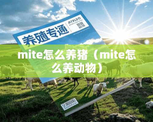 mite怎么养猪（mite怎么养动物）