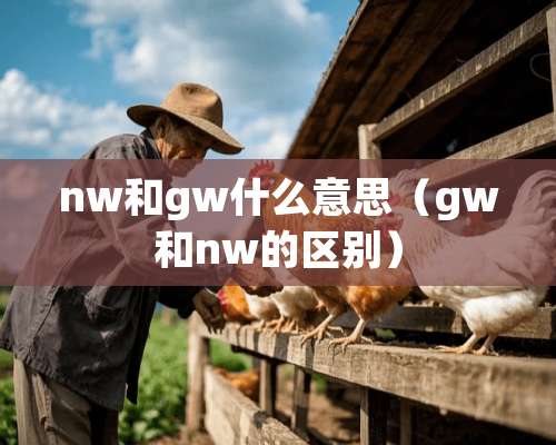 nw和gw什么意思（gw和nw的区别）