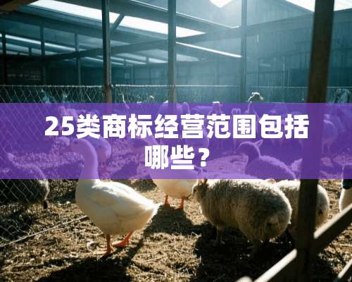 25类商标经营范围包括哪些？