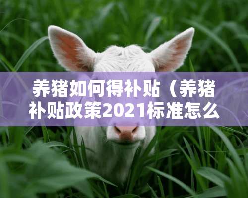 养猪如何得补贴（养猪补贴政策2021标准怎么申请）