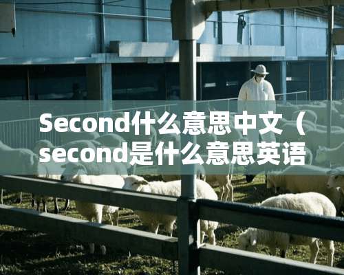 Second什么意思中文（second是什么意思英语翻译成中文）