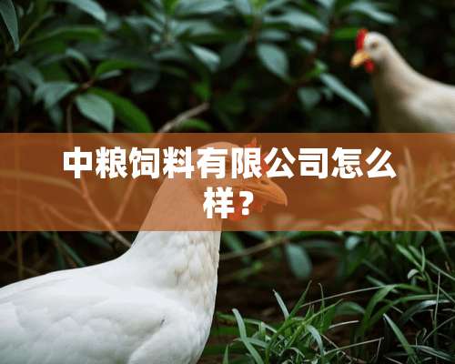 中粮饲料有限公司怎么样？