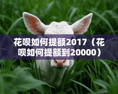 花呗如何提额2017（花呗如何提额到20000）