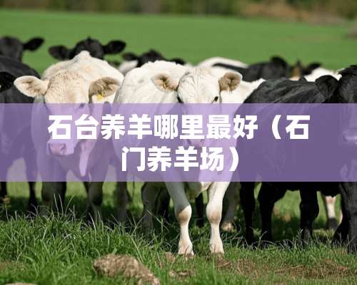 石台养羊哪里最好（石门养羊场）